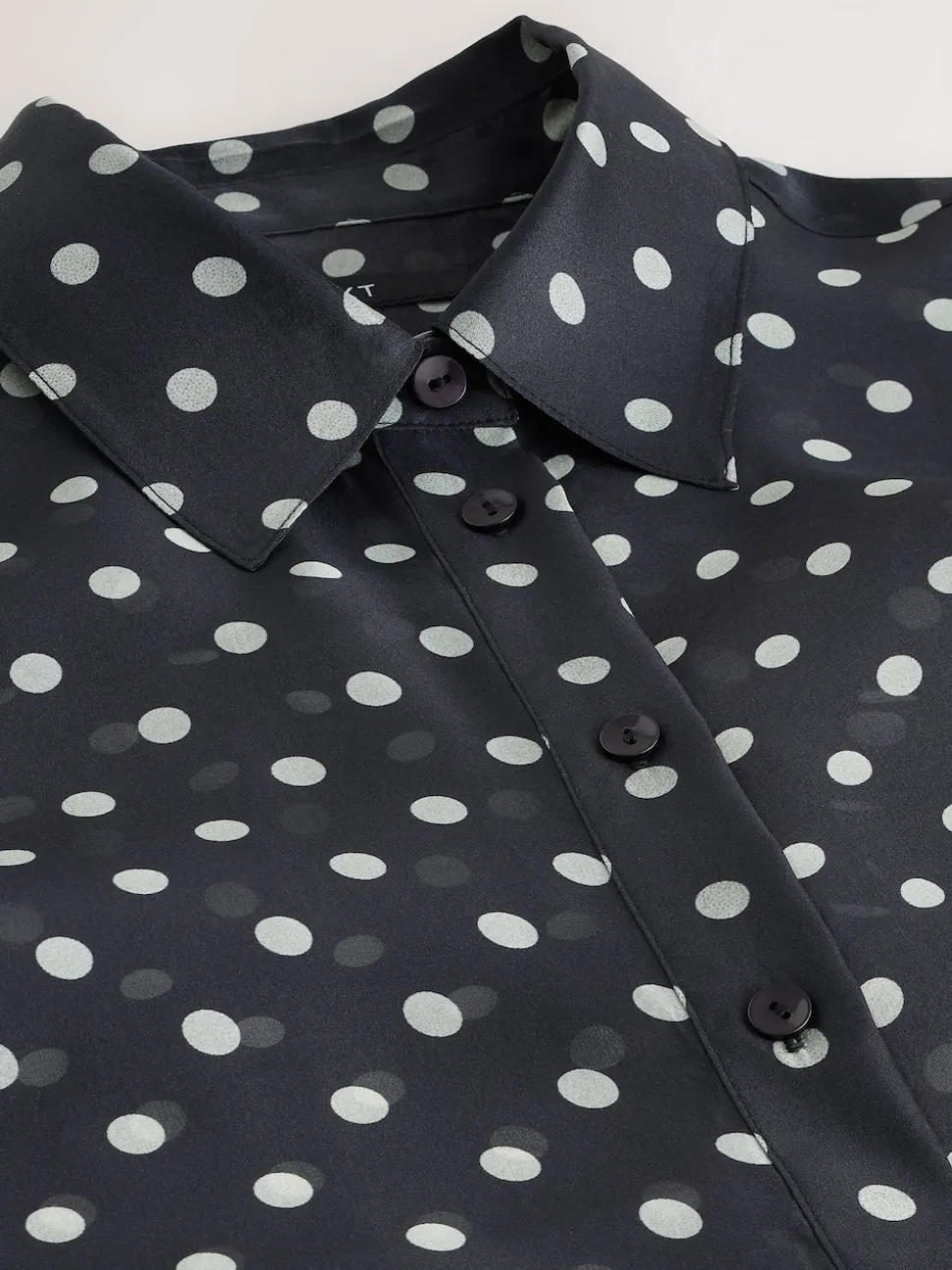 Black/Sage Polka Dot Sheer Long Sleeve Shirt