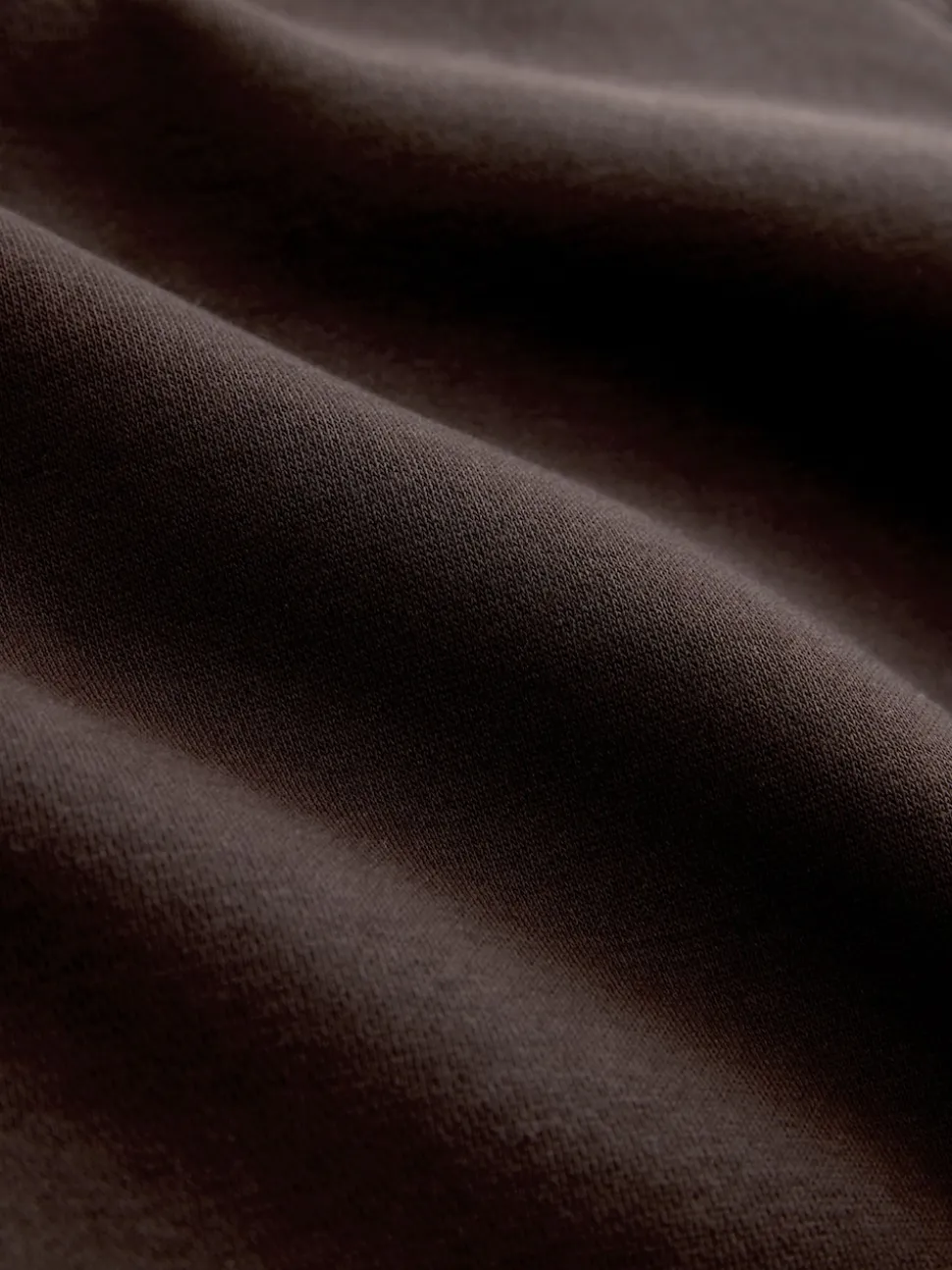 Chocolate Brown Relaxed Fit Heavyweight Regular Length Hoodie