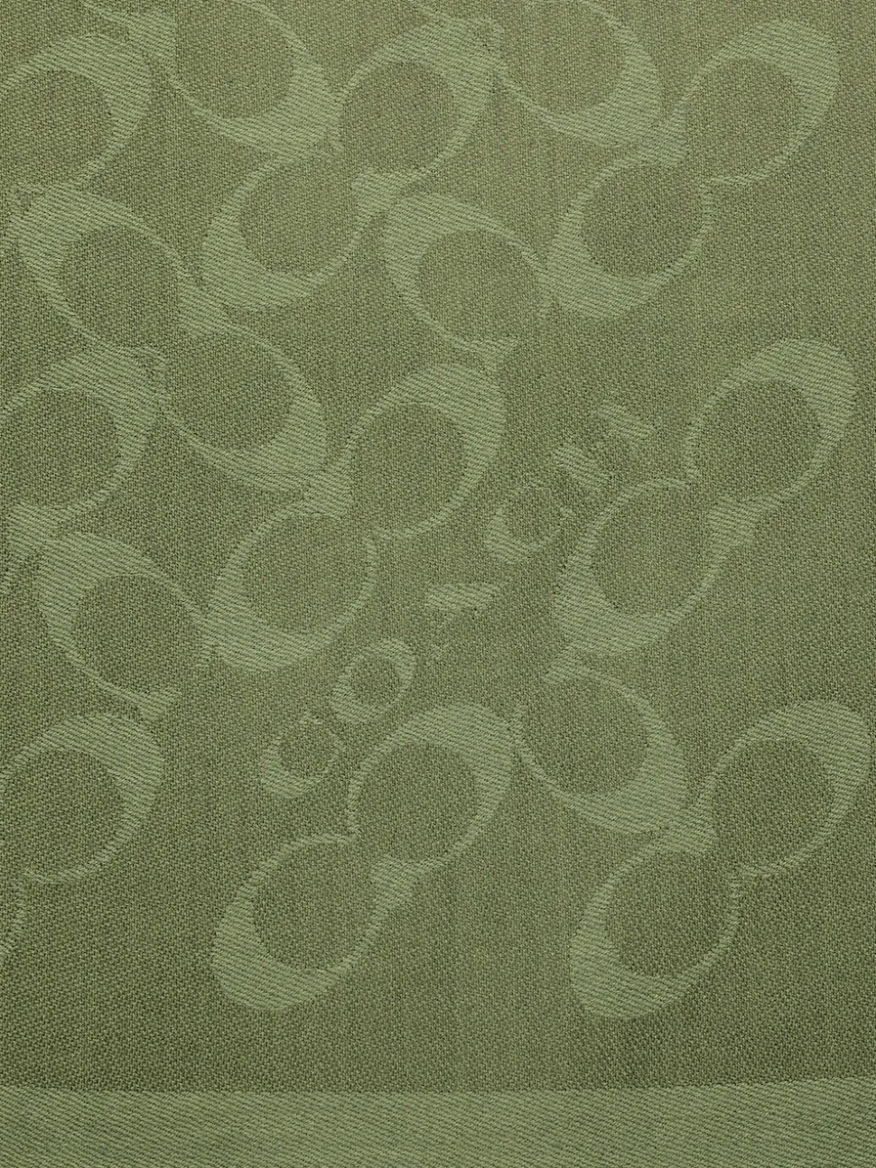 COACH Green Bias Signature C Oblong Scarf