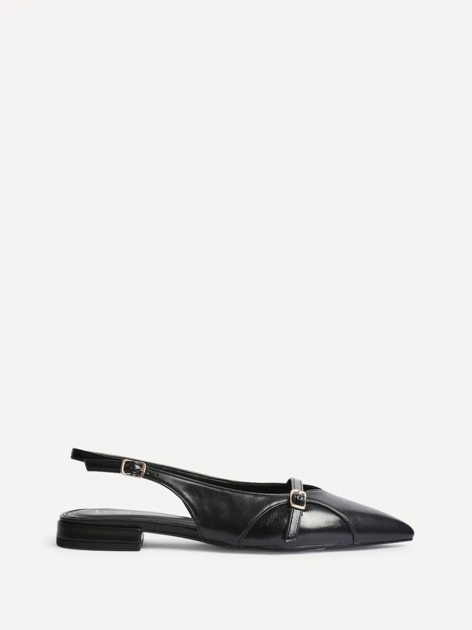Linzi Black Prague Pointed Toe Ballet Flats With Buckle Detail