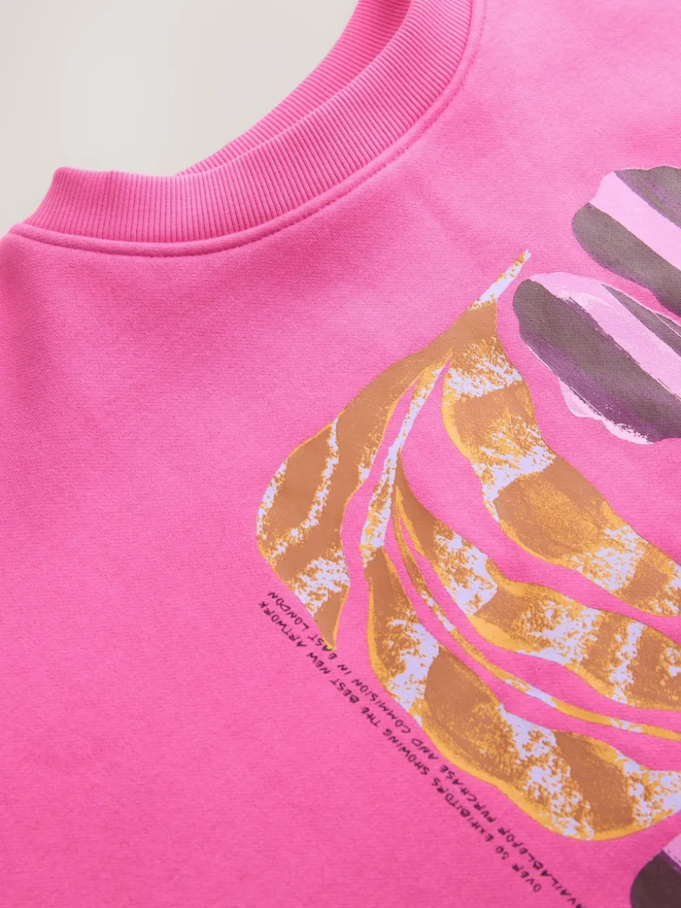 Pink Cotton Rich Fruit Art Graphic Longsleeve Crewneck Sweatshirt