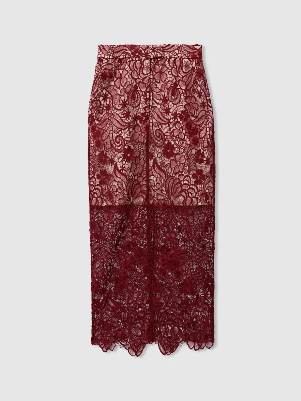 Reiss Burgundy Flo Sheer Lace Midi Pencil Skirt
