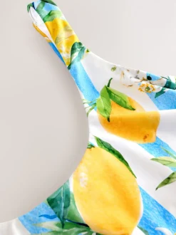 White/Blue Stripe Lemon Print Dd+ Wired Scoop Neck Tummy Control Swimsuit